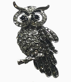 Artful Design Owl Magentic Pin