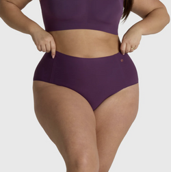 Plum High Waist Bikini