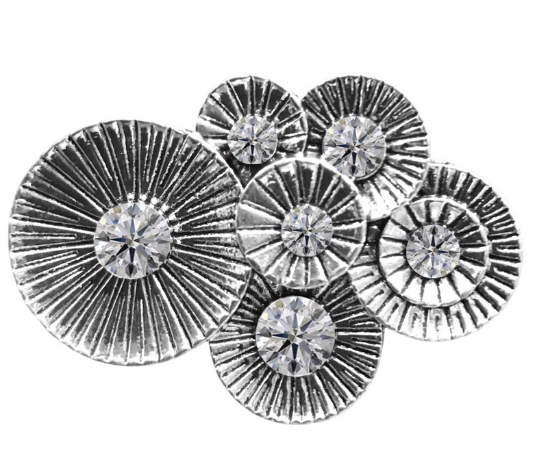 Circles with Crystals Magentic Pin