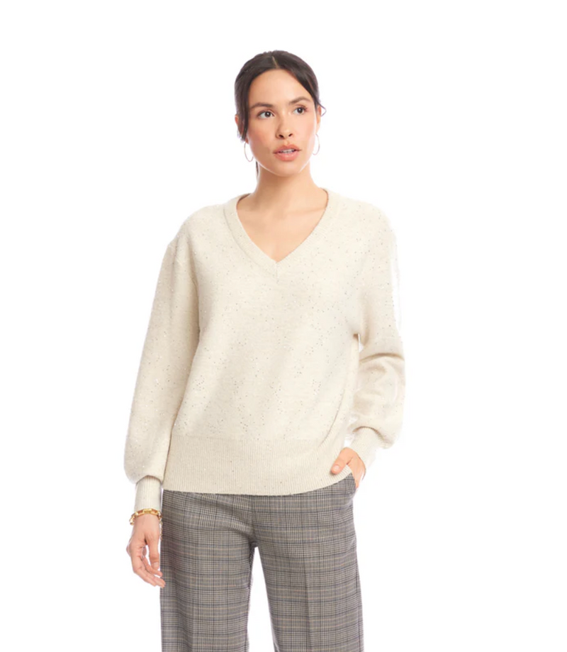 Sequin V-Neck Sweater