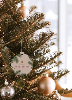 Car Sachet Frasier Fir