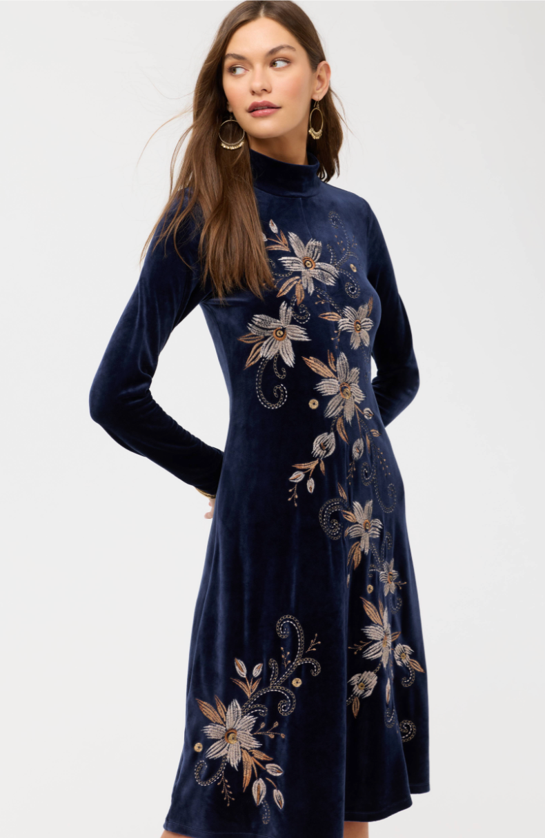 Midnight Embroidered Velvet Dress