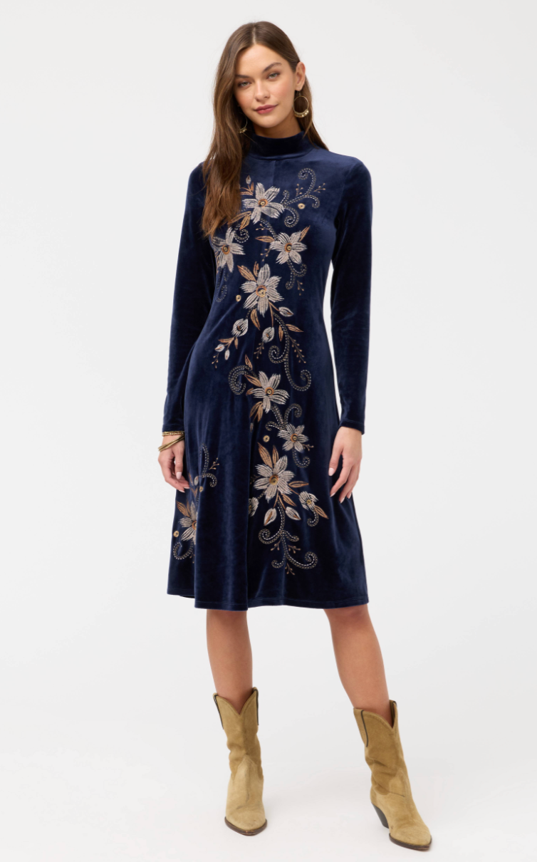Midnight Embroidered Velvet Dress