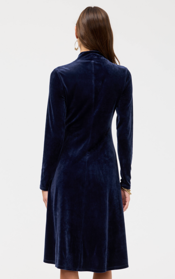 Midnight Embroidered Velvet Dress