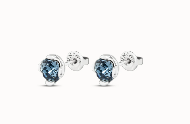 Blue Crystal Stud Earring