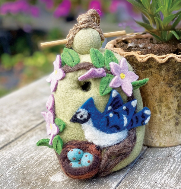 Nesting Bluejay Birdhouse