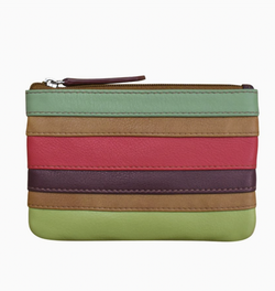 Sage Stripe Leather Coin Bag