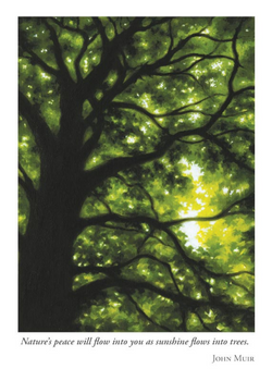 Tree 1 Sympathy Card