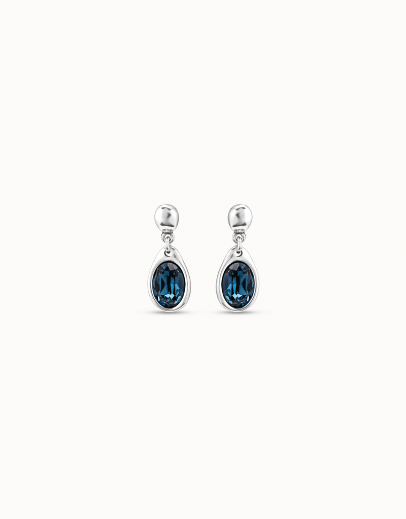 Flashes Crystal Earring