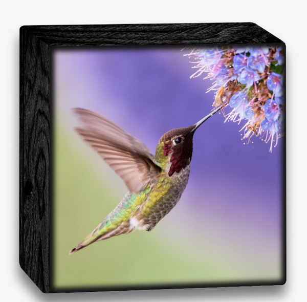 Hummingbird Art Block
